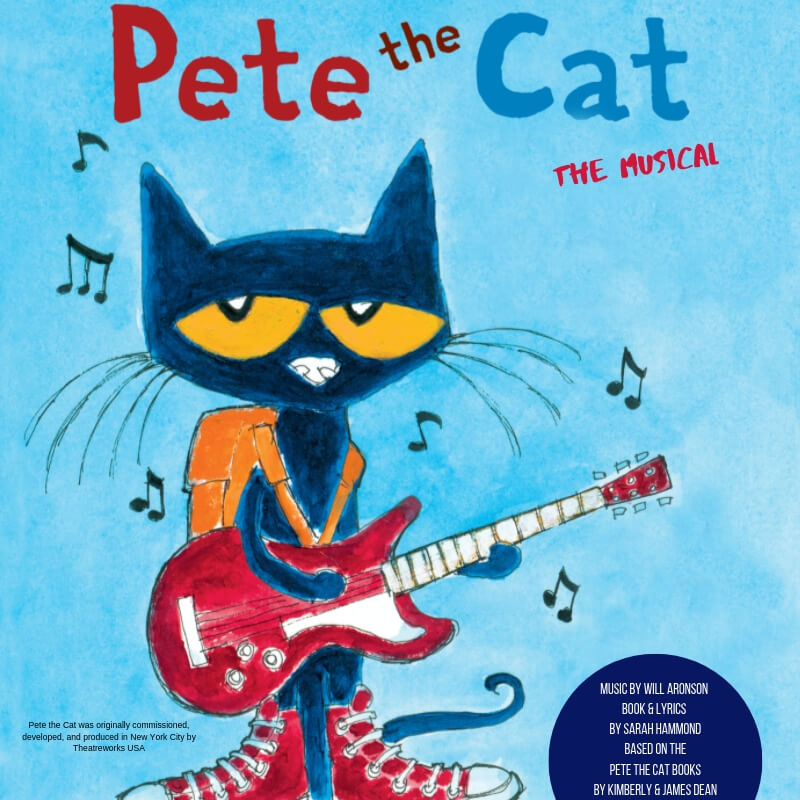 Designer Spotlight: Pete the Cat