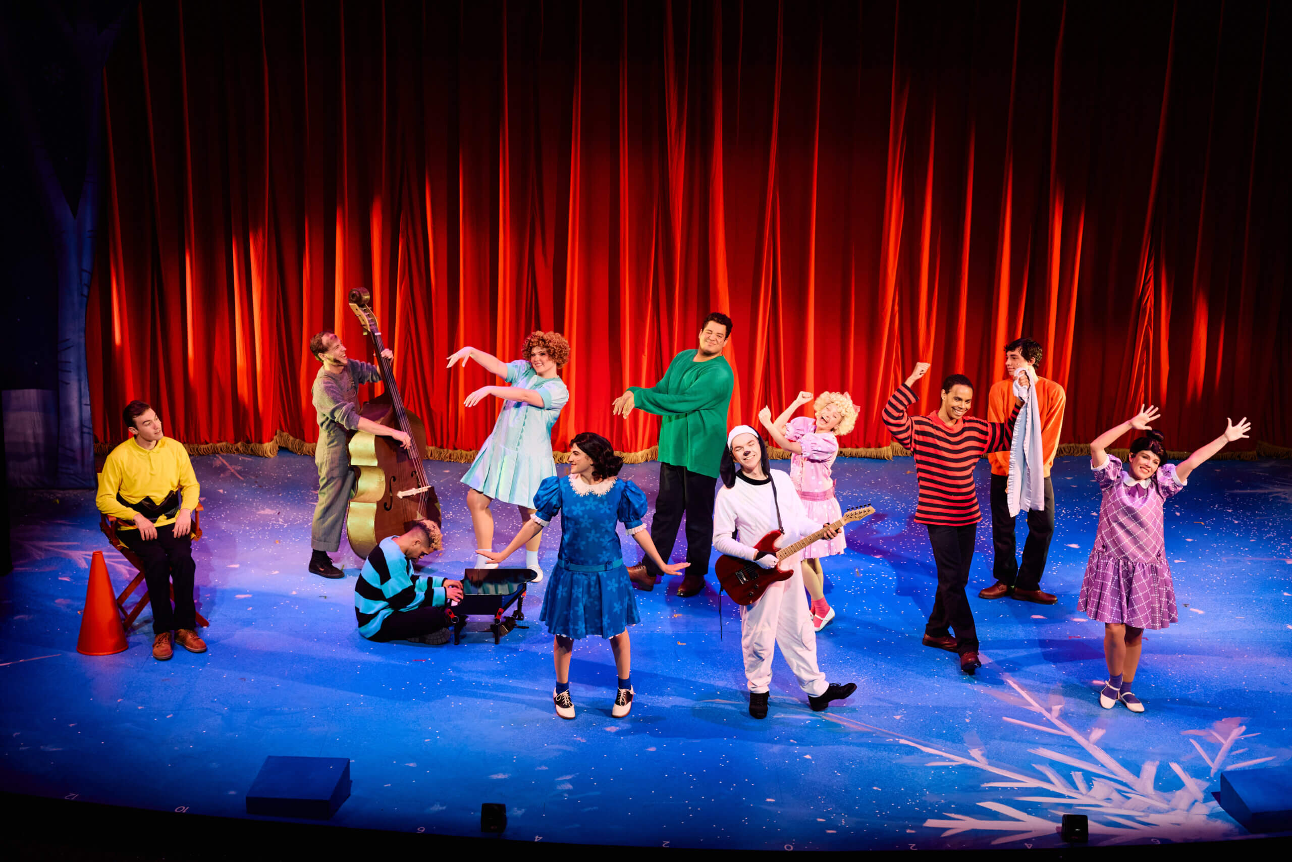 A Charlie Brown Christmas: Live On Stage